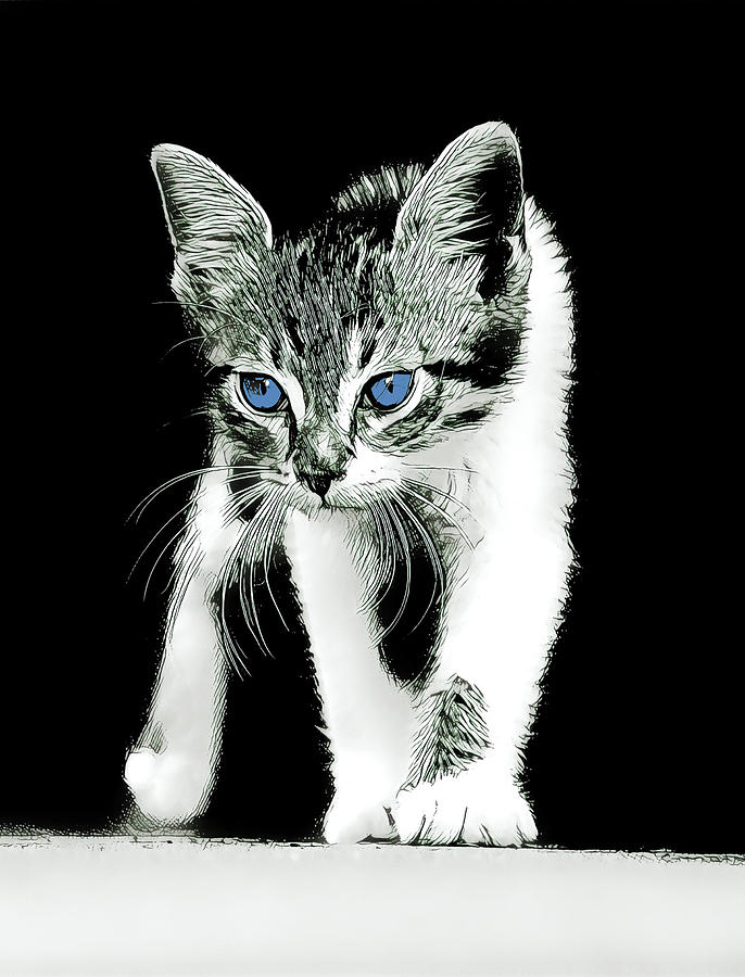Blue Eyed Kitty Digital Art by David G Paul