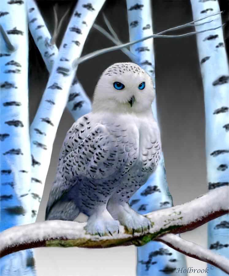 Birch Trees Digital Art - Blue-eyed Snow Owl by Glenn Holbrook