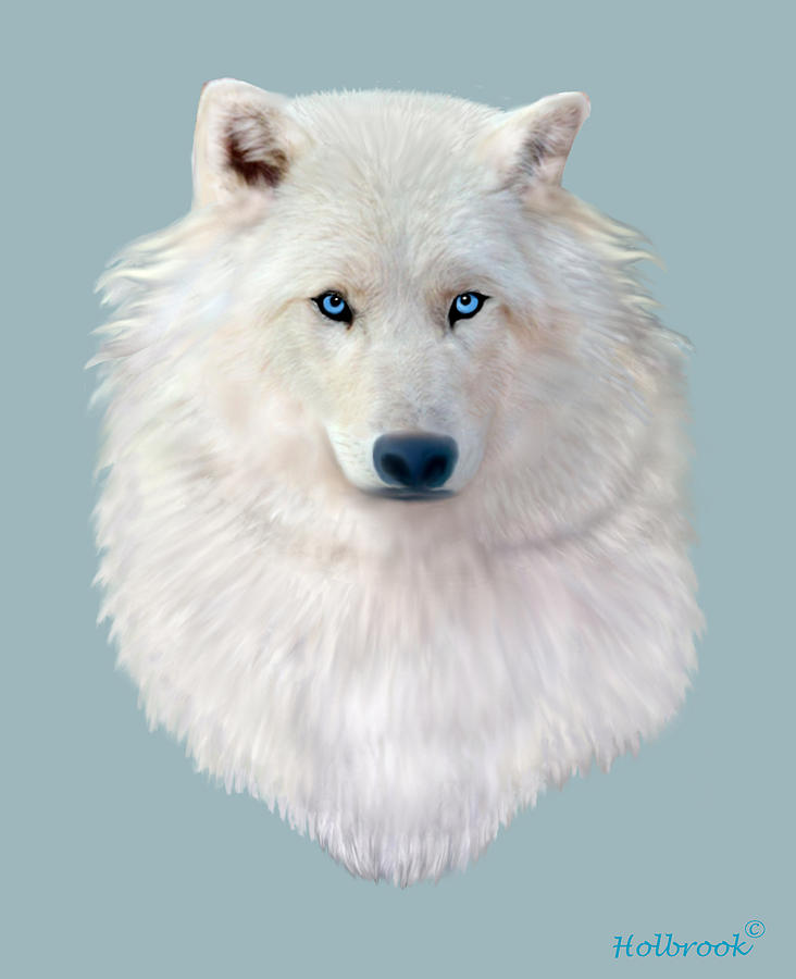 Blue-Eyed Snow Wolf Digital Art by Glenn Holbrook