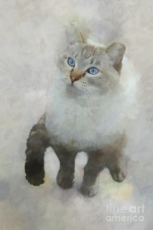 Cat Mixed Media - Blue Eyes by Eva Lechner
