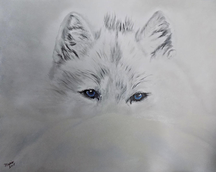 Blue Eyes Painting by Maris Sherwood