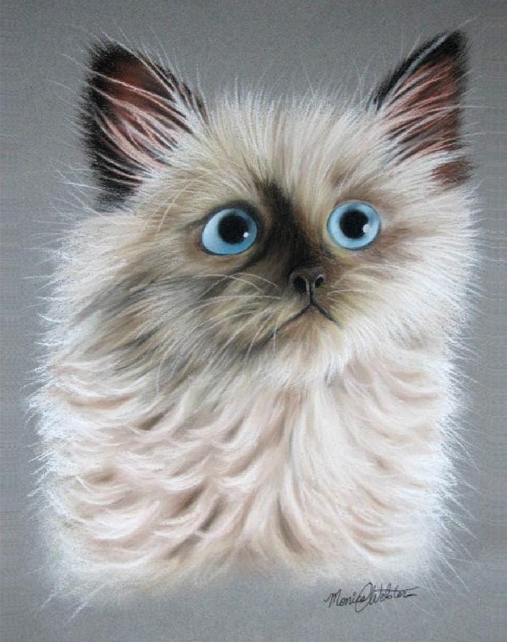 Cat Painting - Blue Eyes by Monica Webster Cat Painting - Blue Eyes by Monica Webster