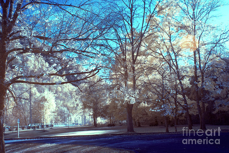 Blue Fairy Tale Photograph by FineArtRoyal Joshua Mimbs - Fine Art America