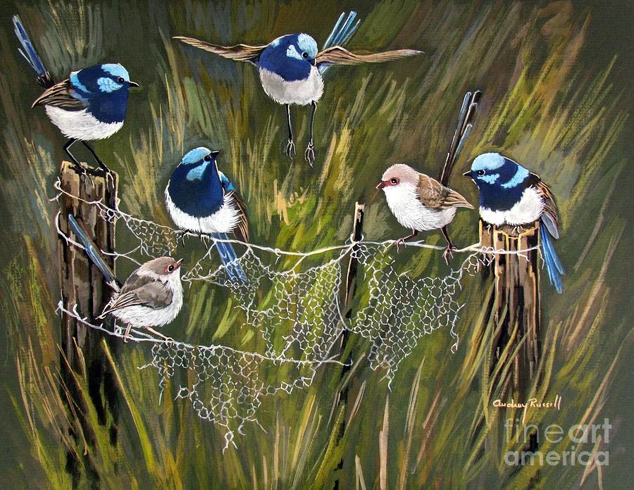 Blue Fairy wrens in the Australian Bush        Painting by Audrey Russill