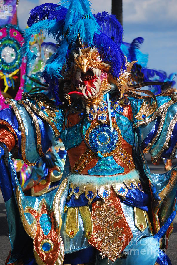 Blue Feather Carnival Costume Full Photograph by Heather Kirk