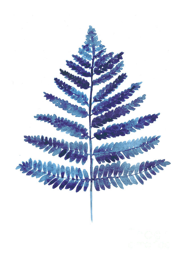 Flower Painting - Blue fern watercolor art print painting by Joanna Szmerdt