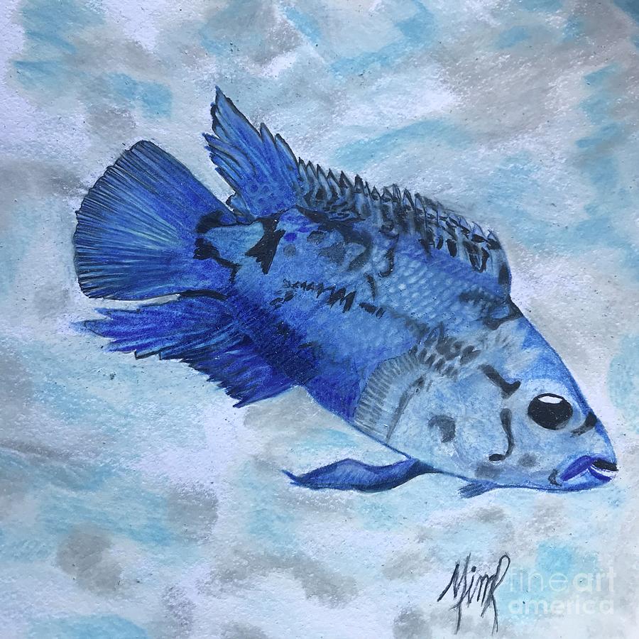 Blue Fish 3 Drawing by Marianne Royston Fine Art America