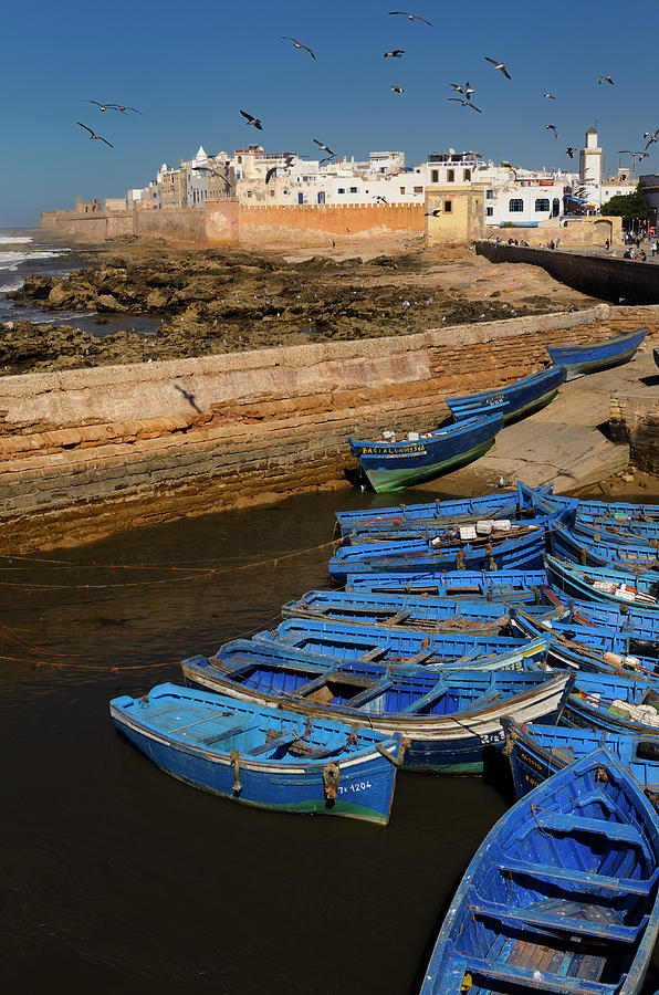 Boat Photograph - Blue fishing boats and the sea bastion ramparts of Essaouira Mor by Reimar Gaertner