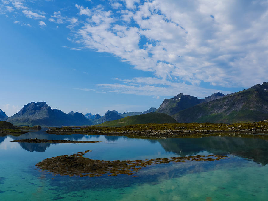 Nature Photograph - Blue fjord by Tamara Sushko