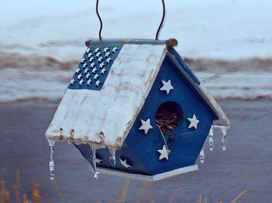 Blue Flag Birdhouse Photograph