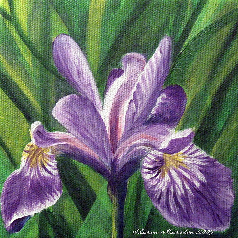 Blue Flag Iris Painting by Sharon Marcella Marston