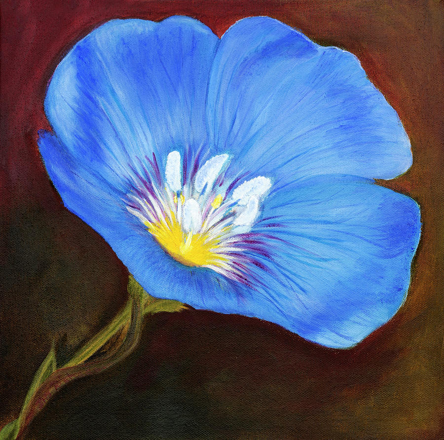 Blue Flax Flower Photograph by Iris Richardson