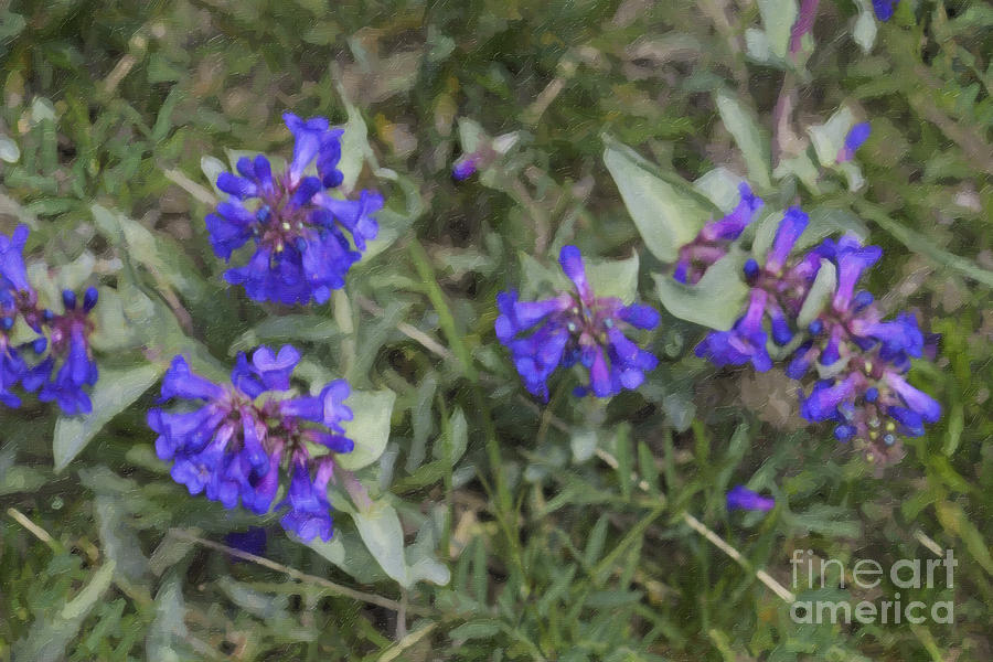 Blue Floral Paint Photograph by Donna L Munro