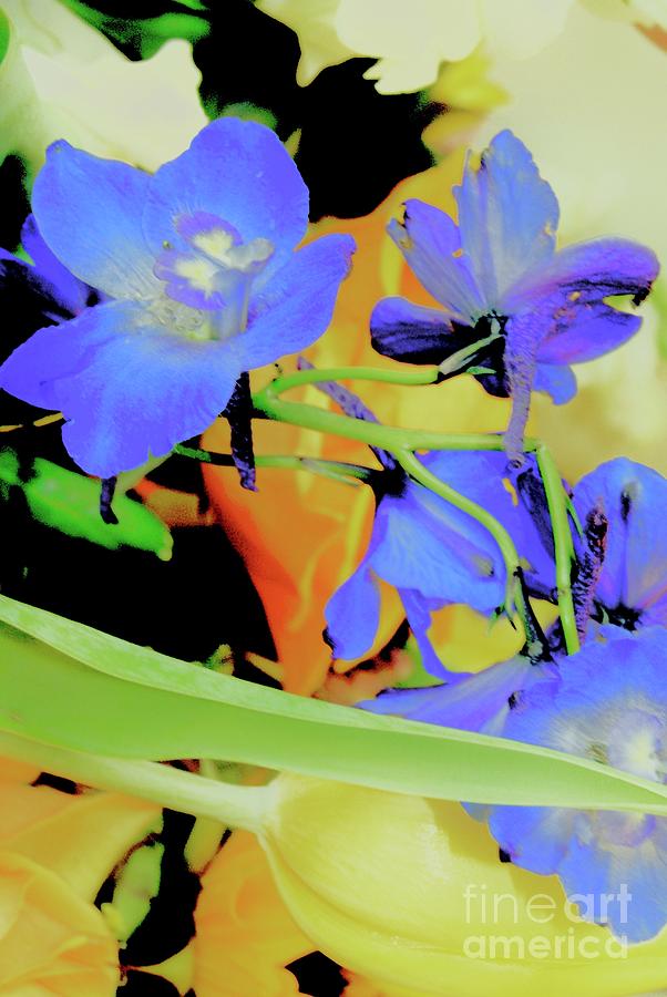 Blue Floral Perfusion Photograph by Margie Avellino