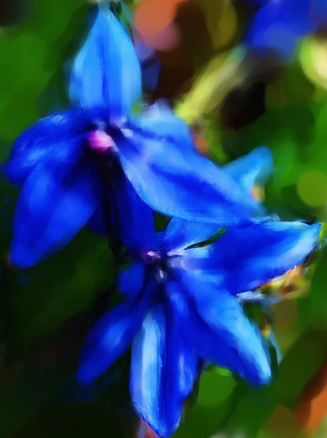 Blue Flower 10-30-09 Photograph by David Lane