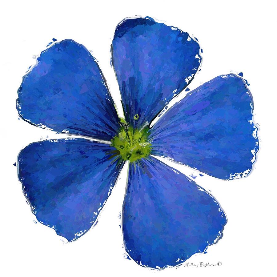 Blue flower Mixed Media by Anthony Fishburne