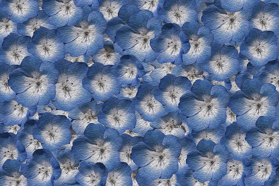 Blue Flower Collage Photograph by Vanessa Thomas