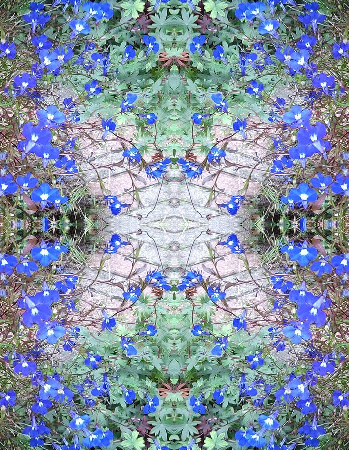 Blue Flower Crystal Wings Fractal B Photograph by Julia Woodman