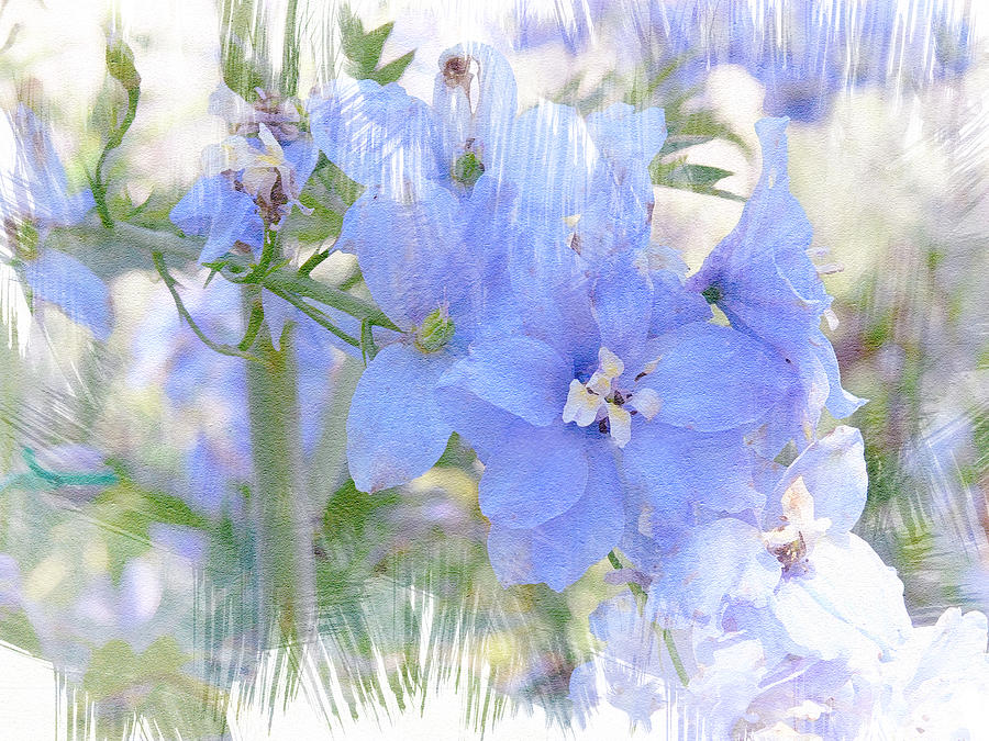 Blue Flower Fantasy Photograph by Michele A Loftus