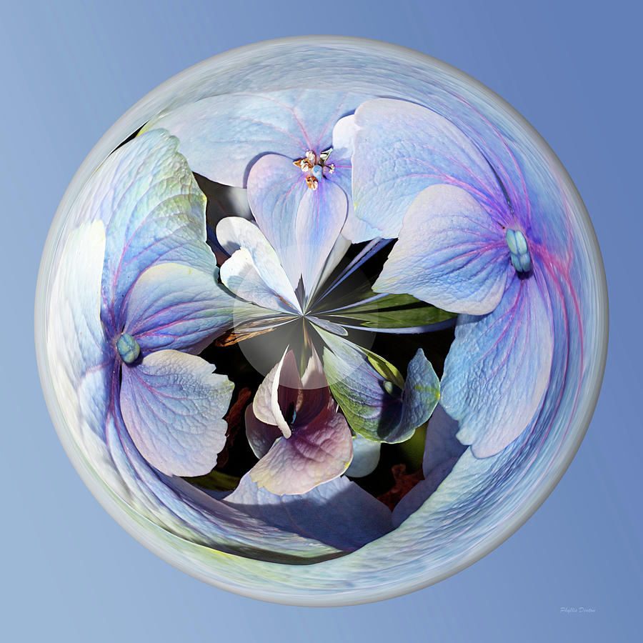 Blue Flower Orb Photograph by Phyllis Denton