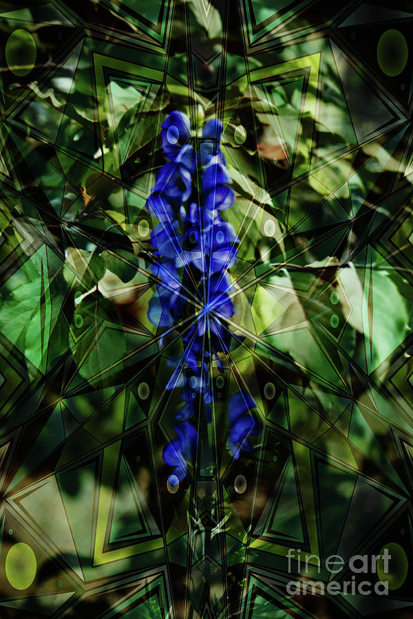 Blue Flower Patterns Digital Art by Donna L Munro