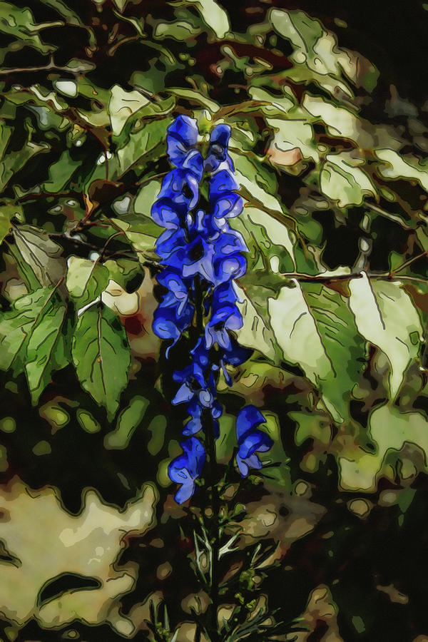 Blue Flowers Digital Art by Donna L Munro