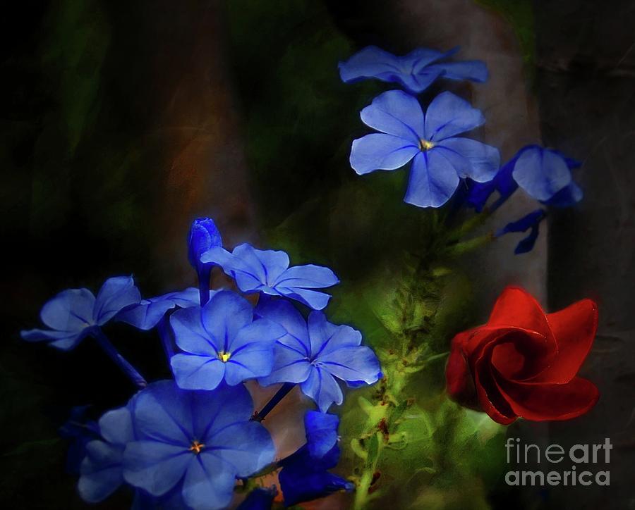 Blue Flowers Growing Up The Apple Tree Photograph by John Kolenberg