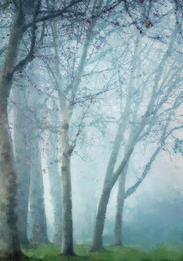 Blue Fog in Winter Digital Art by Terry Davis