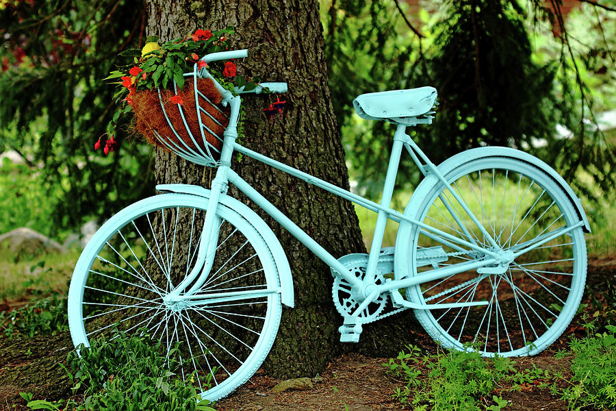Blue Garden Bicycle Photograph