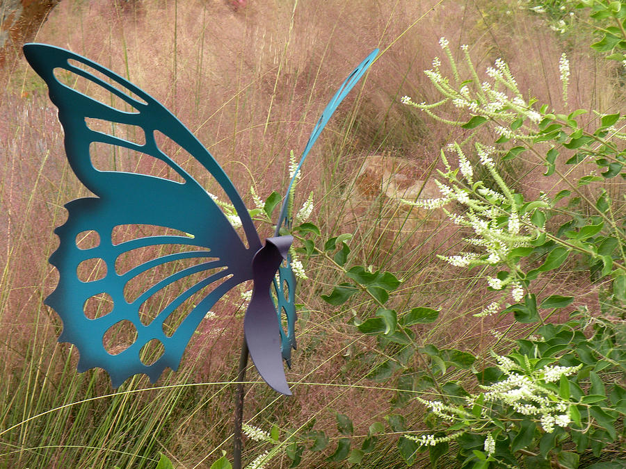 Blue Garden Butterfly Photograph by Rosalie Scanlon