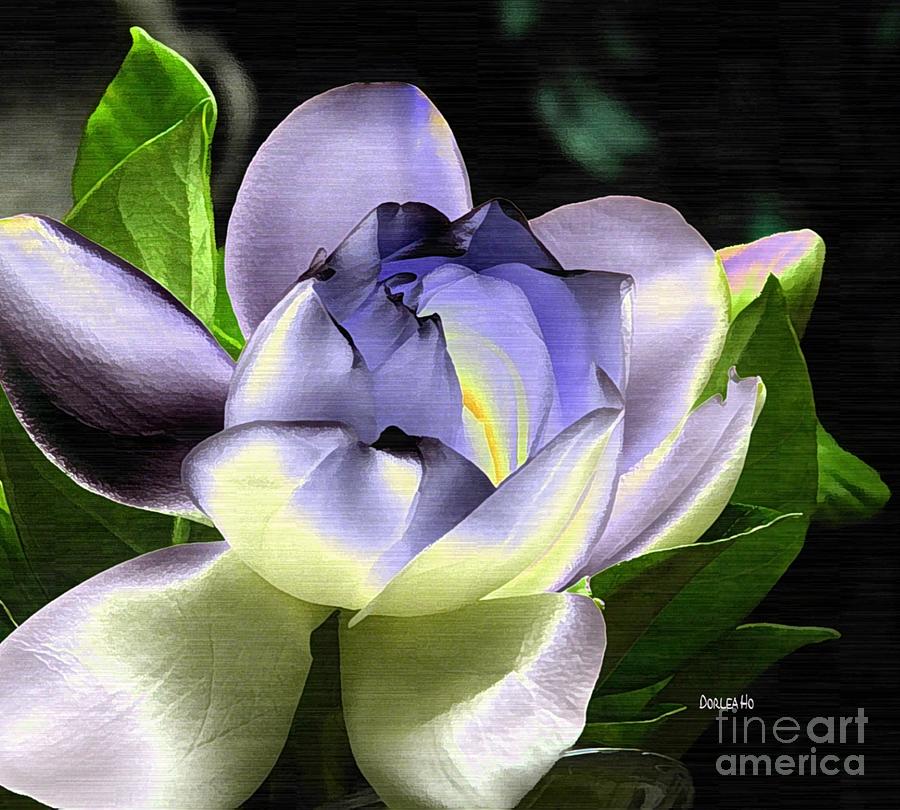 Blue Gardenia Digital Art by Dorlea Ho