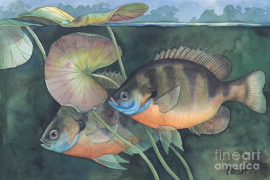 Fish Painting - Blue Gill by Paul Brent