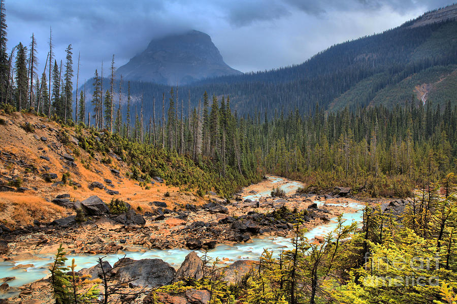 Blue Glacial Creek Photograph by Adam Jewell