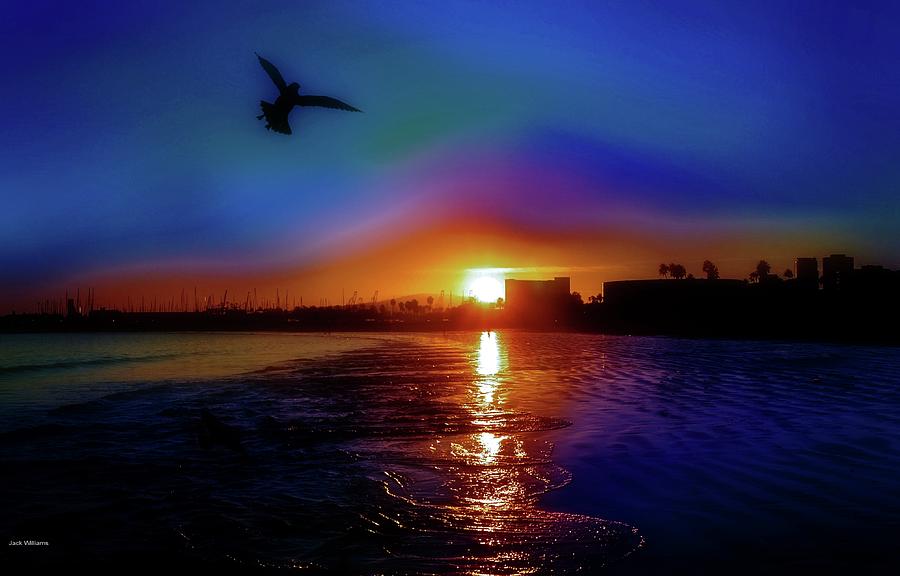 Seagull Photograph - Blue / Golden /  Sunset by John R Williams