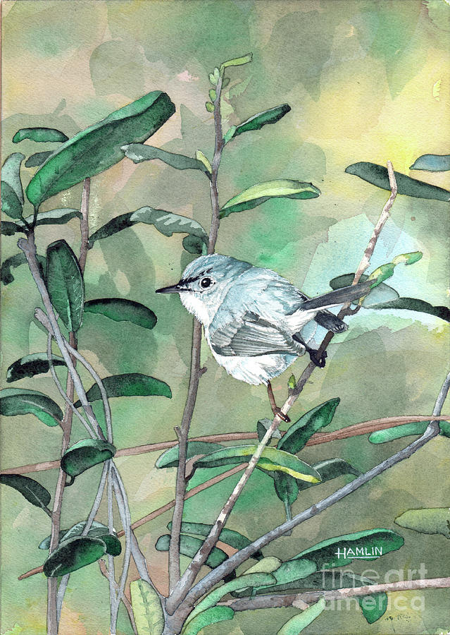 Blue-gray Gnatcatcher Painting by Steve Hamlin