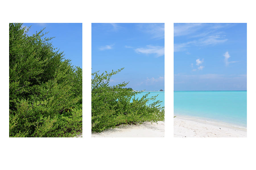 Blue-Green-White Triptych Photograph by Jenny Rainbow