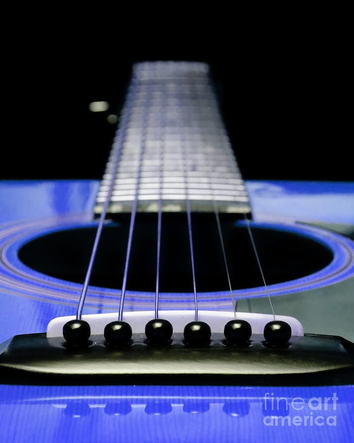 Blue Guitar 14 Photograph by Andee Design