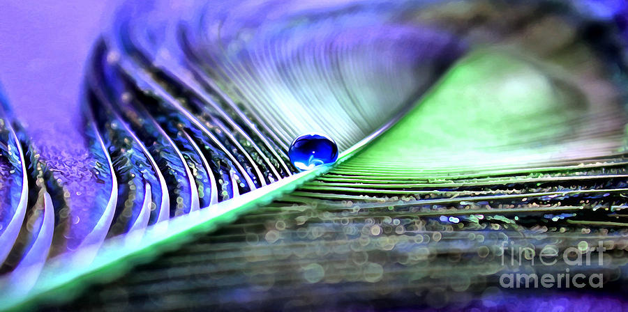 Peacock Photograph - Blue Gypsy by Krissy Katsimbras