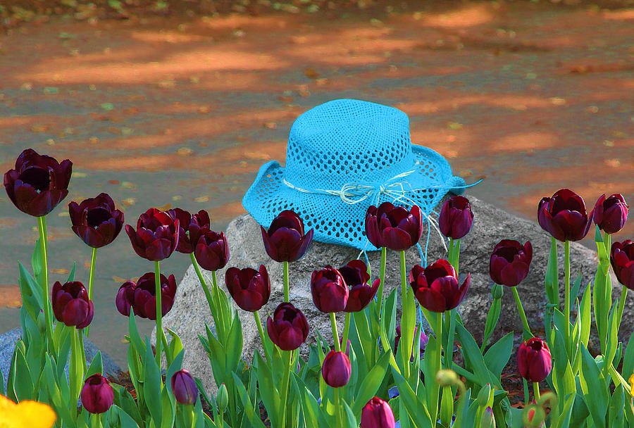 Blue Hat Between The Tulips Photograph by Viktor Savchenko