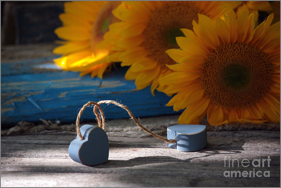 Still Life Photograph - Blue Heart by Luv Photography
