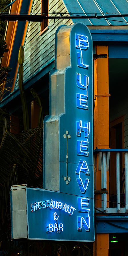 Blue Heaven Photograph by Ed Gleichman