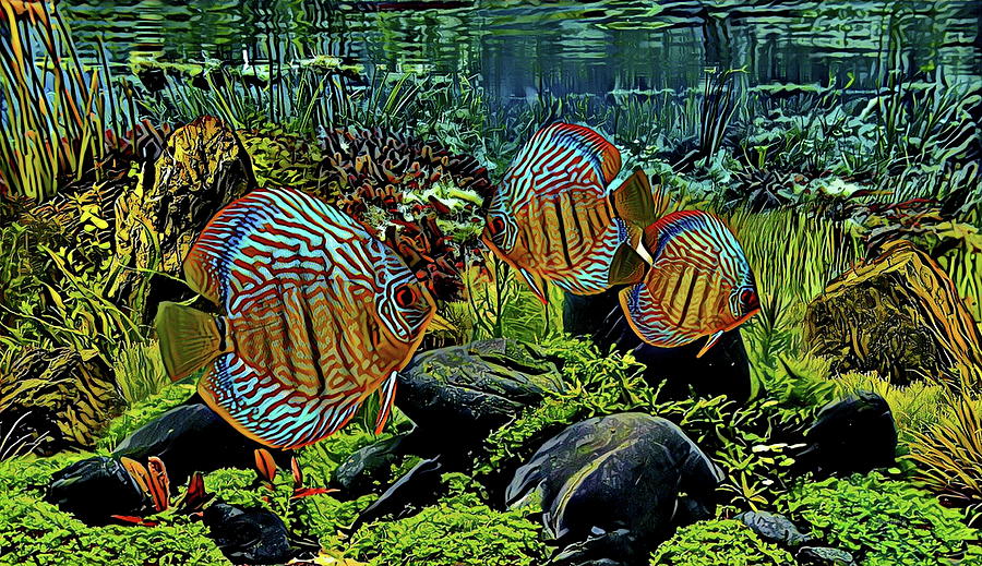Fish Digital Art - Blue Heckel Discus by Russ Harris