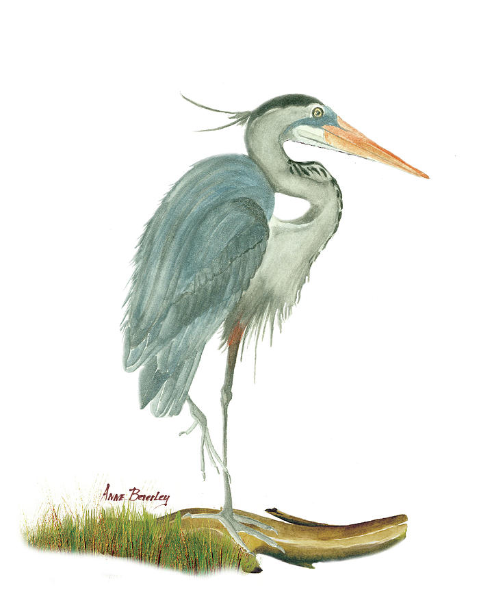 Blue Heron Painting by Anne Beverley-Stamps