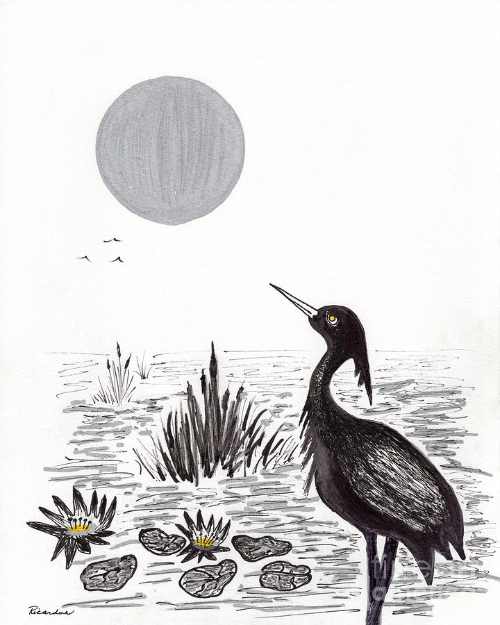 Crowned Night Heron Lily Pond Paradise in Ink D2 Drawing by Ricardos Creations