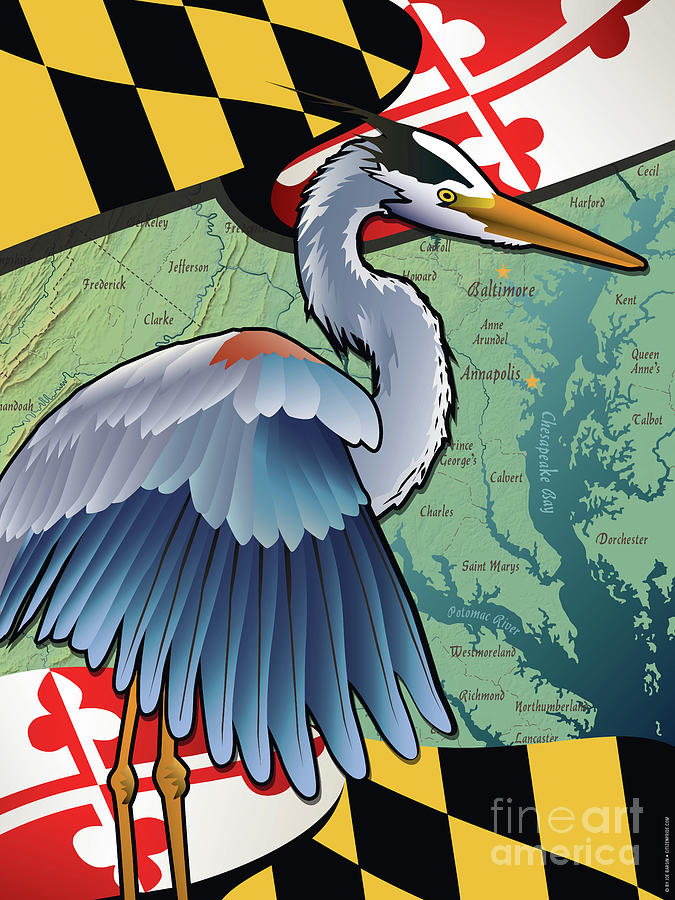 Blue Heron of Maryland Digital Art by Joe Barsin