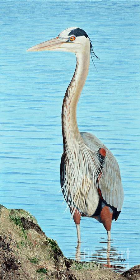 Blue Heron on the Hunt Painting by Jimmie Bartlett