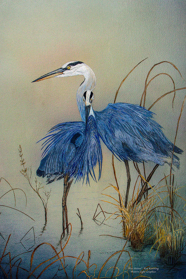 Blue Heron Pair Painting by Western Light Decor