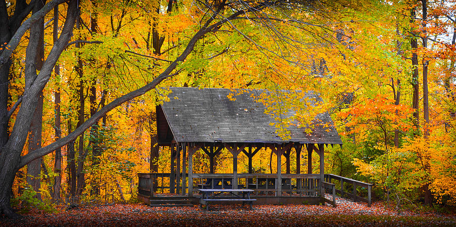 Blue Heron park in the fall Photograph by Kenneth Cole