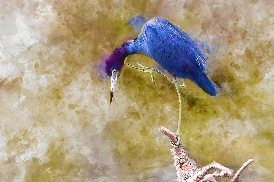 Blue Heron Stand Off Mixed Media by Marvin Blaine