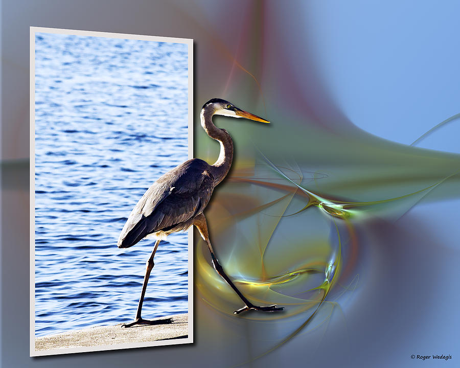 Heron Painting - Blue Heron Strutting Out Of Frame by Roger Wedegis